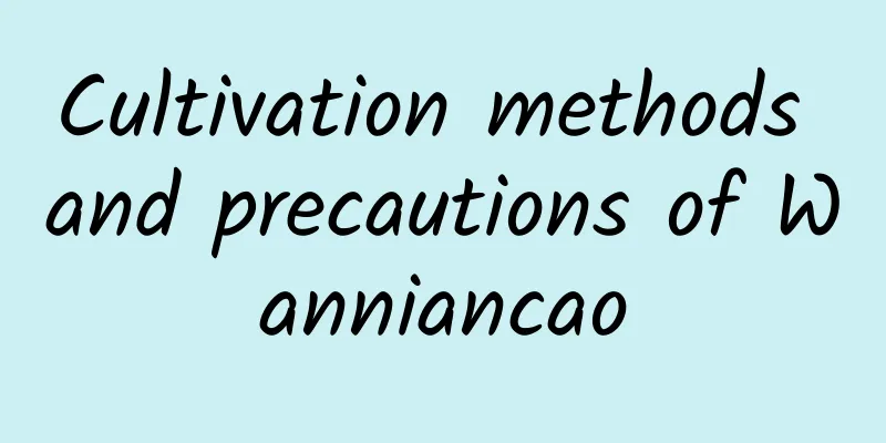 Cultivation methods and precautions of Wanniancao
