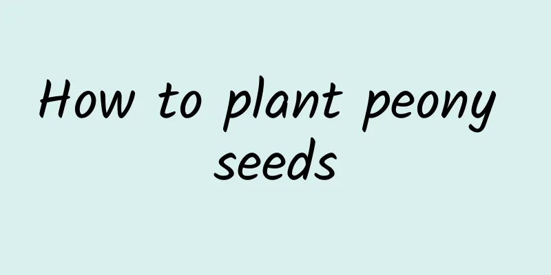 How to plant peony seeds
