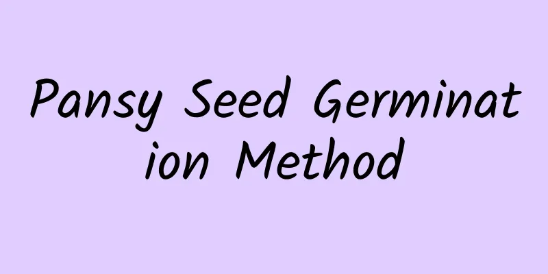 Pansy Seed Germination Method