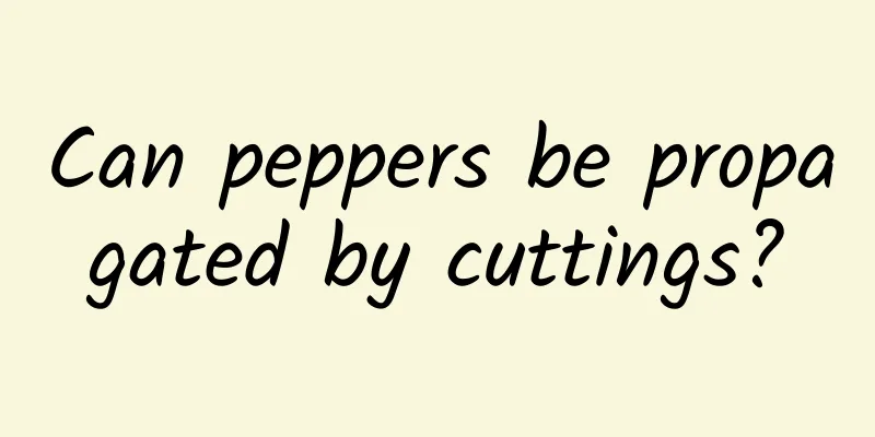 Can peppers be propagated by cuttings?