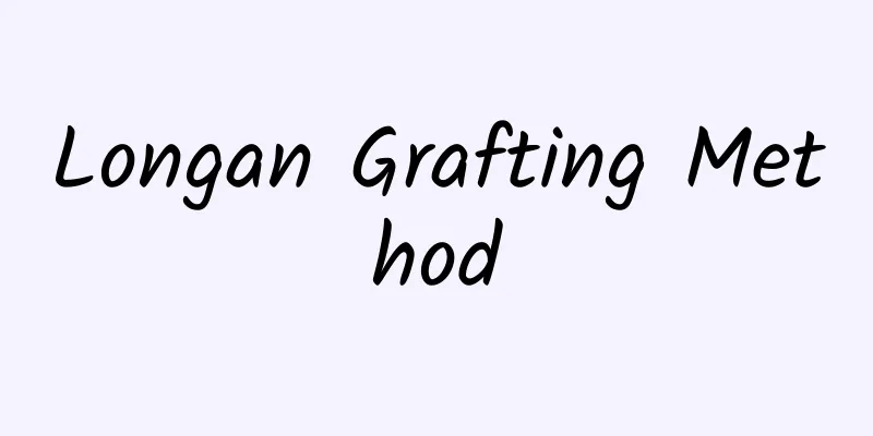 Longan Grafting Method