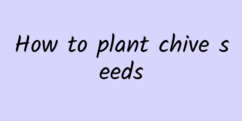 How to plant chive seeds