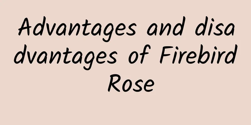 Advantages and disadvantages of Firebird Rose