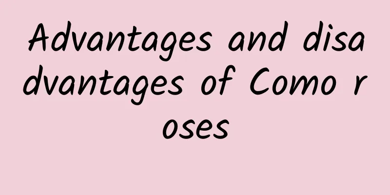 Advantages and disadvantages of Como roses