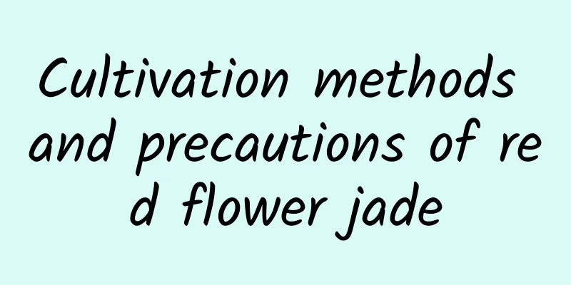 Cultivation methods and precautions of red flower jade