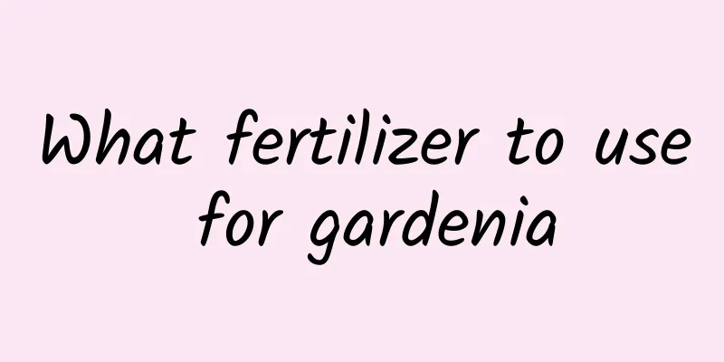 What fertilizer to use for gardenia