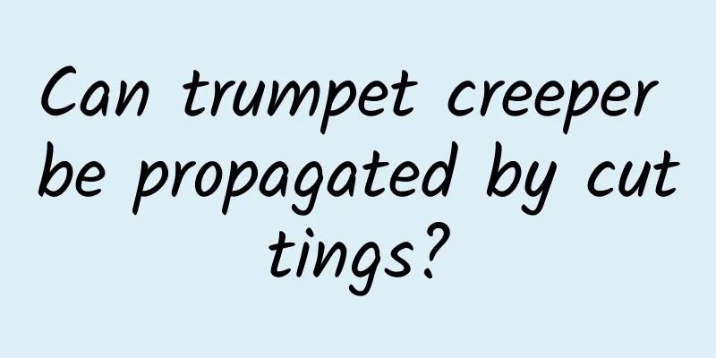 Can trumpet creeper be propagated by cuttings?