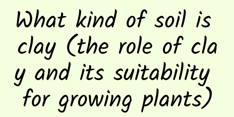 What kind of soil is clay (the role of clay and its suitability for growing plants)