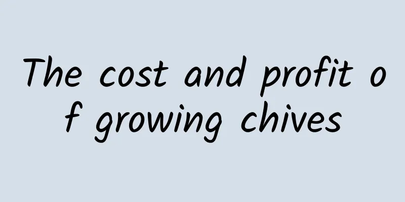 The cost and profit of growing chives