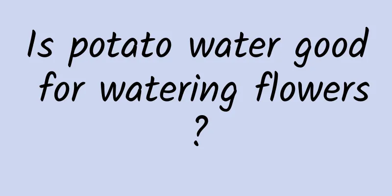 Is potato water good for watering flowers?