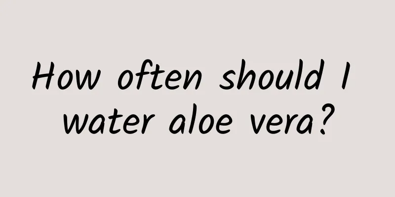 How often should I water aloe vera?