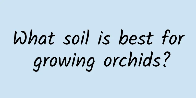 What soil is best for growing orchids?
