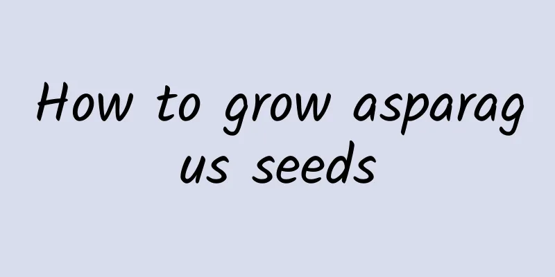 How to grow asparagus seeds