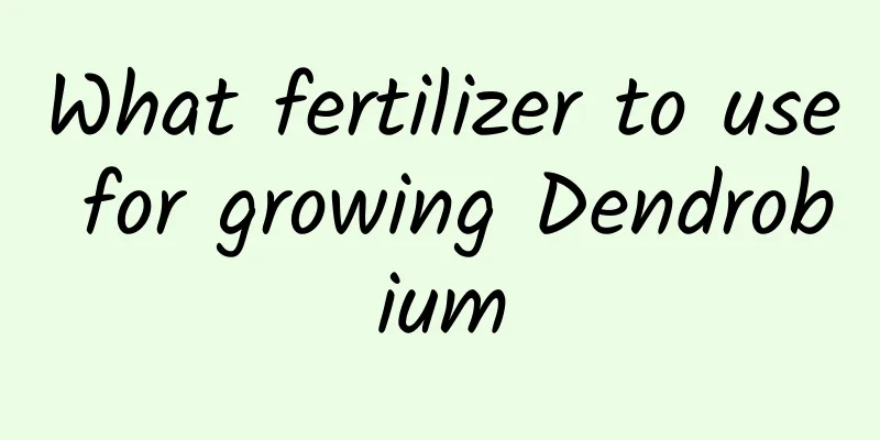 What fertilizer to use for growing Dendrobium