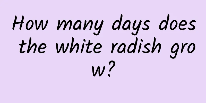 How many days does the white radish grow?