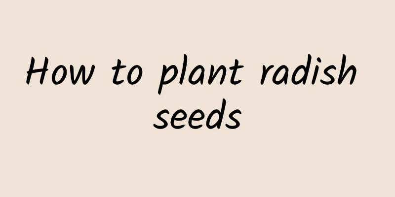 How to plant radish seeds