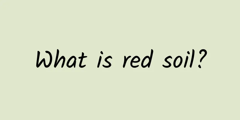 What is red soil?
