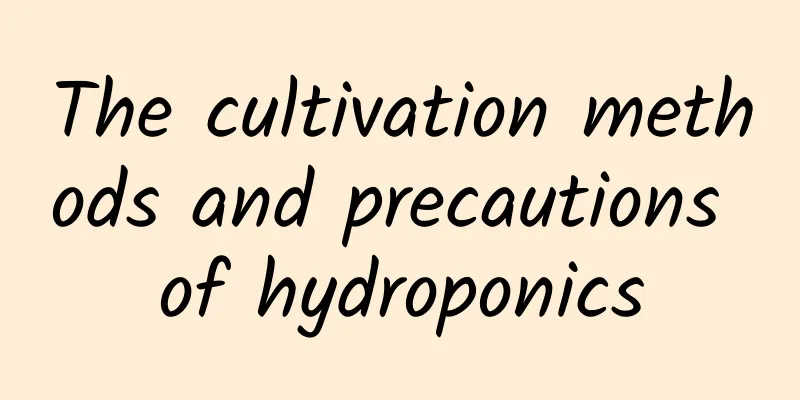 The cultivation methods and precautions of hydroponics