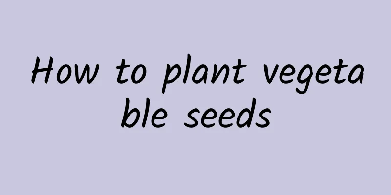 How to plant vegetable seeds
