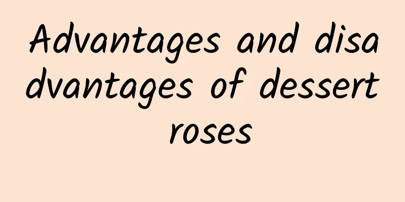 Advantages and disadvantages of dessert roses