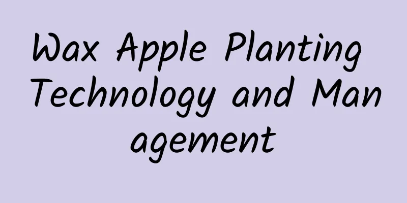 Wax Apple Planting Technology and Management