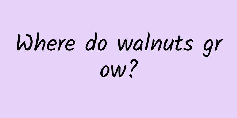 Where do walnuts grow?