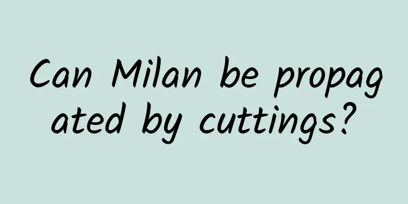 Can Milan be propagated by cuttings?