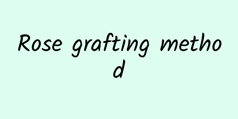 Rose grafting method
