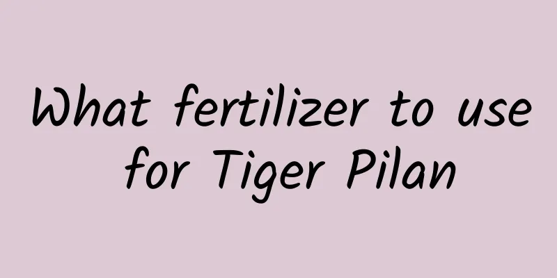 What fertilizer to use for Tiger Pilan