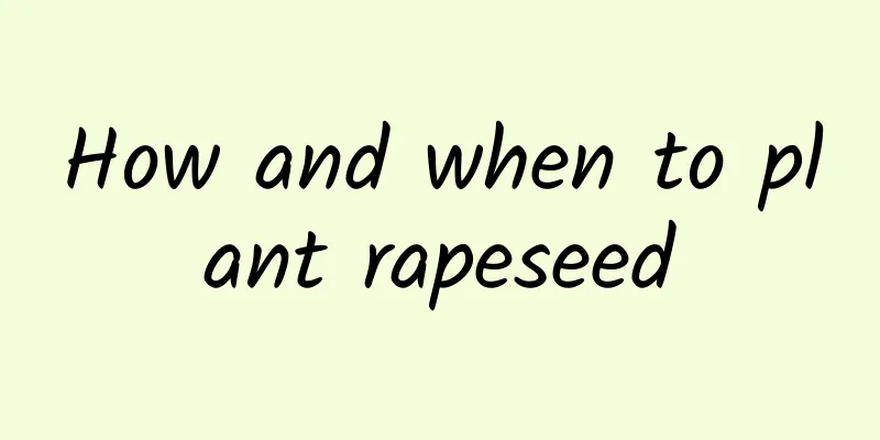 How and when to plant rapeseed