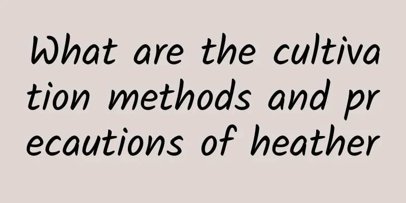 What are the cultivation methods and precautions of heather