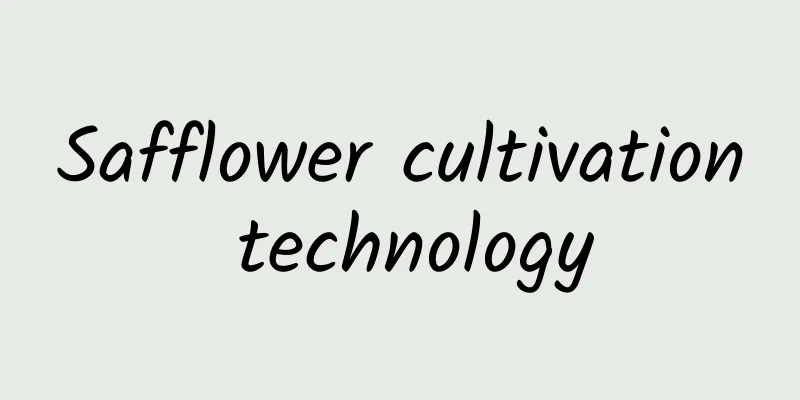 Safflower cultivation technology