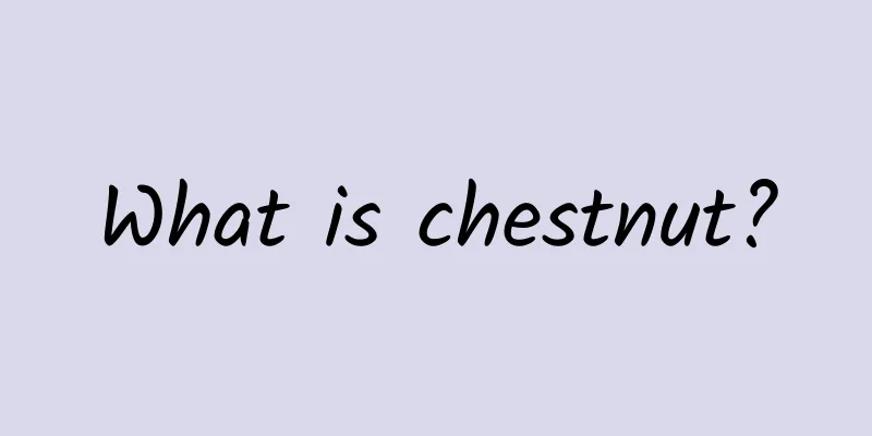 What is chestnut?