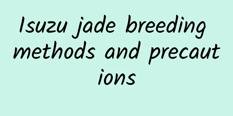 Isuzu jade breeding methods and precautions