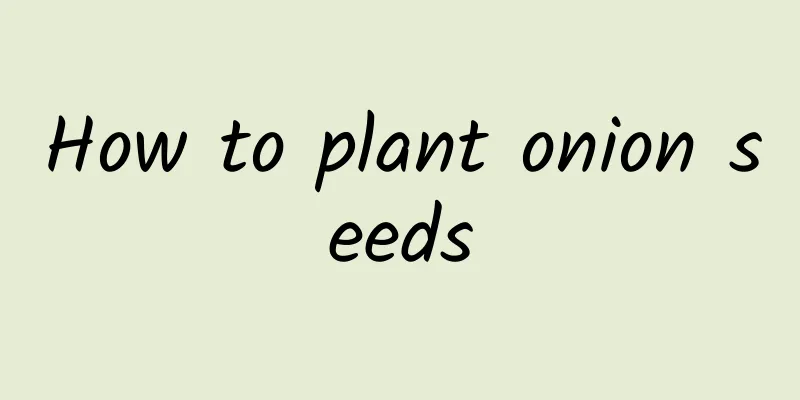 How to plant onion seeds