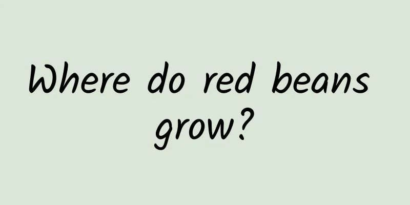 Where do red beans grow?