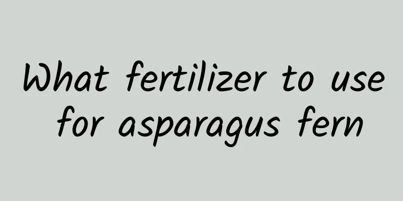 What fertilizer to use for asparagus fern