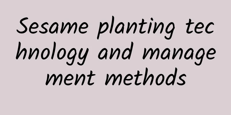Sesame planting technology and management methods