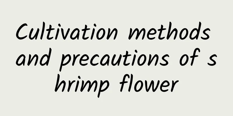 Cultivation methods and precautions of shrimp flower