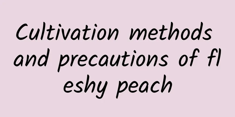 Cultivation methods and precautions of fleshy peach