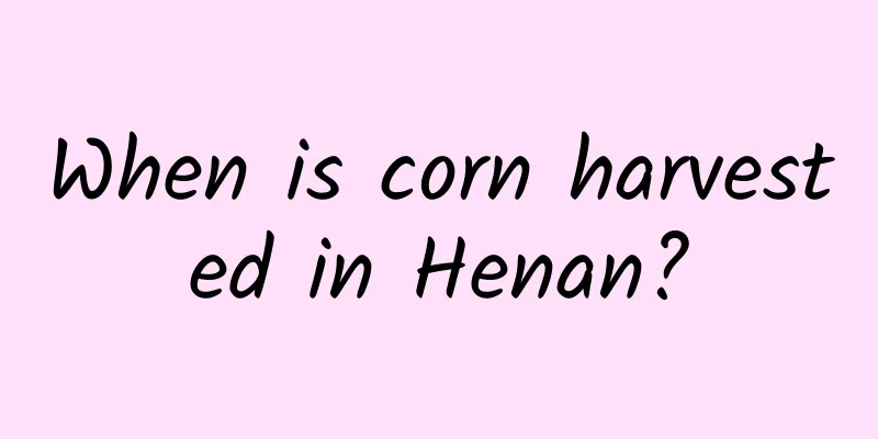 When is corn harvested in Henan?
