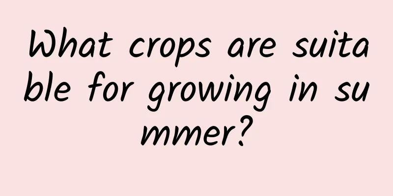 What crops are suitable for growing in summer?