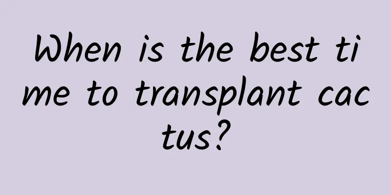 When is the best time to transplant cactus?