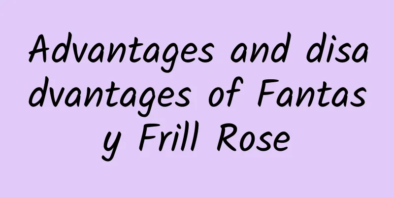 Advantages and disadvantages of Fantasy Frill Rose