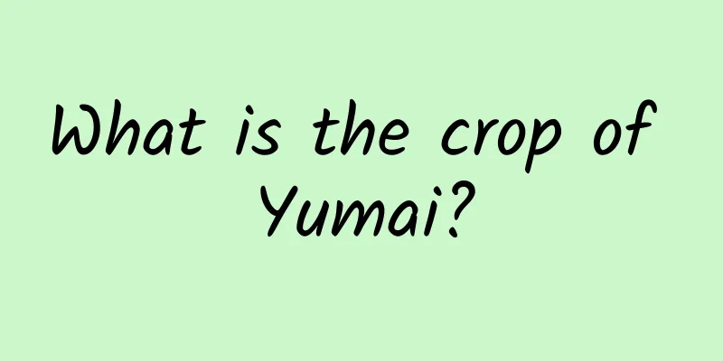 What is the crop of Yumai?
