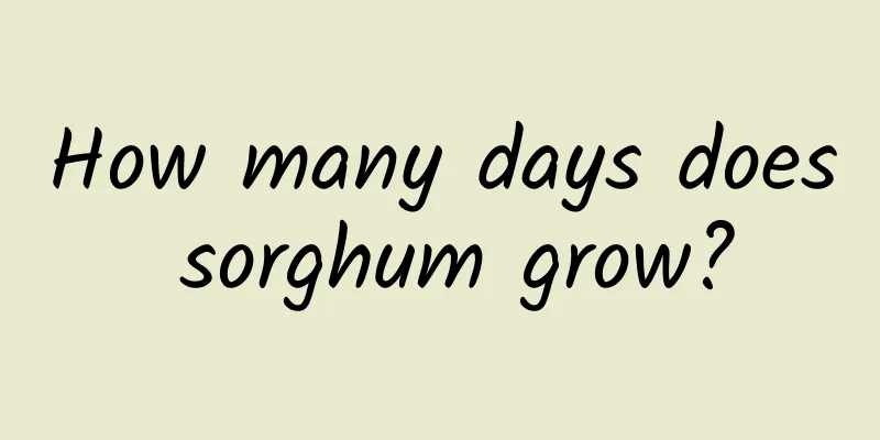 How many days does sorghum grow?