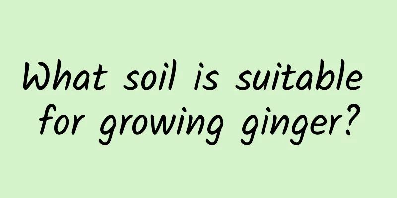 What soil is suitable for growing ginger?
