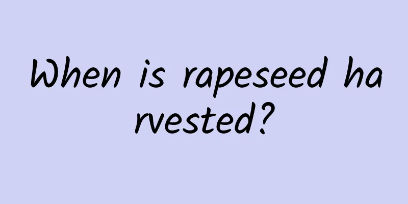 When is rapeseed harvested?