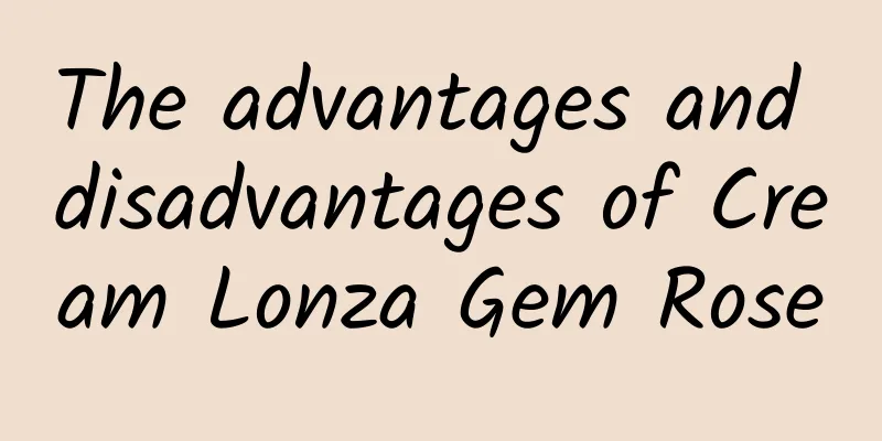 The advantages and disadvantages of Cream Lonza Gem Rose