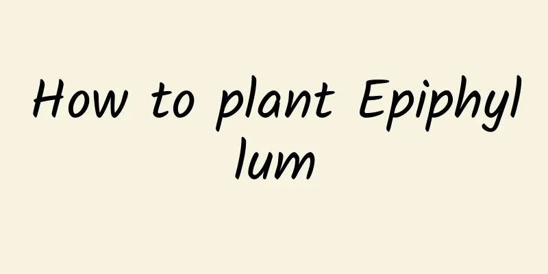 How to plant Epiphyllum